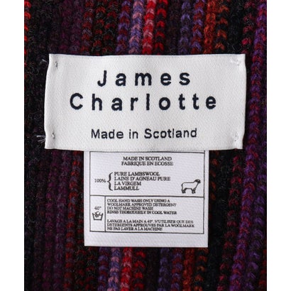 【JAMES CHARLOTTE/ジェームス・シャルロット】501 Warp Knit Multi Stripe Scarf 25 （グレー系1）｜詳細画像