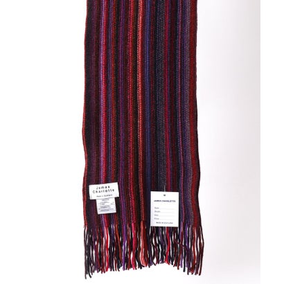 【JAMES CHARLOTTE/ジェームス・シャルロット】501 Warp Knit Multi Stripe Scarf 25 （グレー系1）｜詳細画像