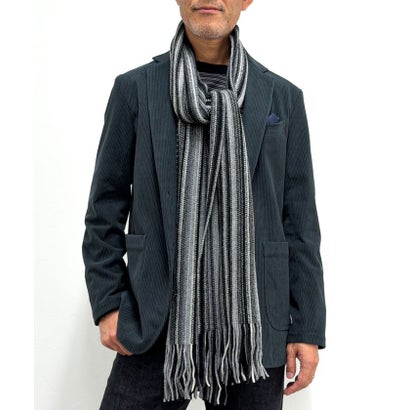【JAMES CHARLOTTE/ジェームス・シャルロット】501 Warp Knit Multi Stripe Scarf 25 （グレー系1）｜詳細画像