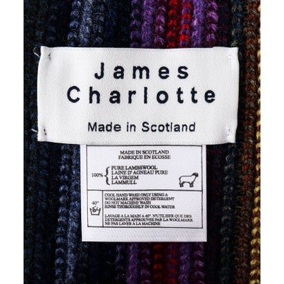 【JAMES CHARLOTTE/ジェームス・シャルロット】501 Warp Knit Multi Stripe Scarf 25 （ピンク系1）｜詳細画像