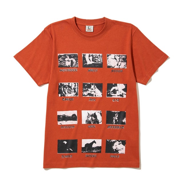 プリント ハーフスリーブ Tシャツ アニマル（Print H/S T-Shirt Animal） （ORANGE）