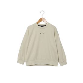 ジュニア スウェットトレーナー YTR FLEECE CREW PHOTO FOA409619 （MIST）
