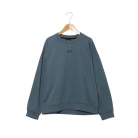 ジュニア スウェットトレーナー YTR FLEECE CREW PHOTO FOA409619 （BLUE MIRAGE）