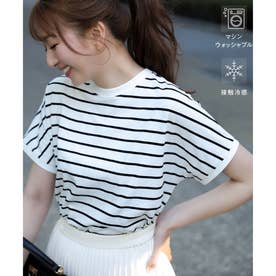 【美ライン大人T】半袖 Tシャツ （オフ×ブラックボーダー）
