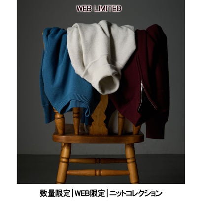 WEB限定【洗える】カシミヤ混 ハーフジップニット （ブラック系）｜詳細画像