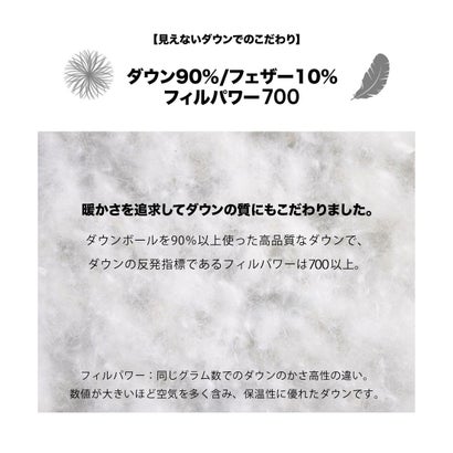 キングサイズ追加【WEB&一部店舗別注】MINOTECH/ミノテック ドレス ダウンコート_ロング （ネイビー系）｜詳細画像