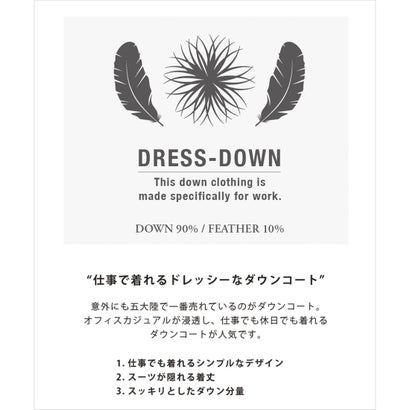 あのダウンにロング丈登場【WEB限定/仕事で着られる】ドレス ロングダウンコート_ストレッチツイル （ブラック系）｜詳細画像