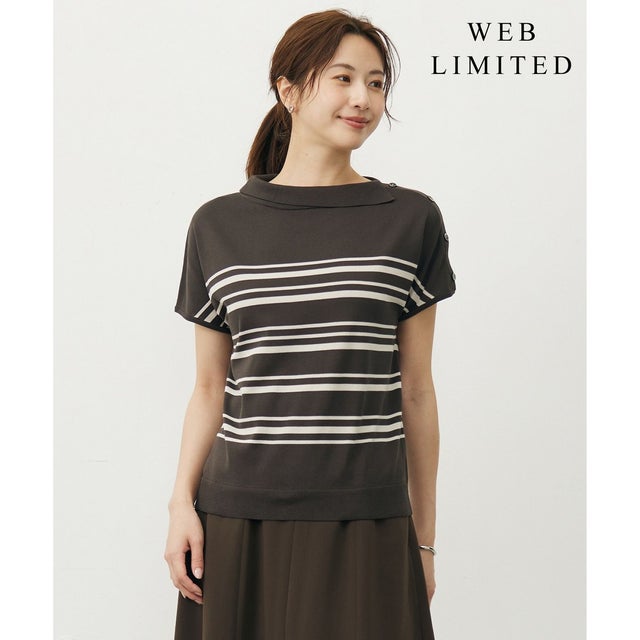 【WEB限定カラーあり・洗える・抗菌防臭】COTTON POLYESTER ボーダー 襟付き ニット （【WEB限定カラー】ブラウン×グレージュ系）