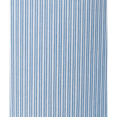 J.PRESS LADIES L 【WEB限定カラーあり】コンパクトエステネージュ スキッパー ブラウス （【WEB限定】サックスストライプ系2）｜詳細画像