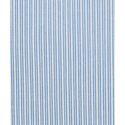 J.PRESS LADIES L 【WEB限定カラーあり】コンパクトエステネージュ シャーリング シャツ ブラウス （【WEB限定】サックスストライプ系2）｜詳細画像