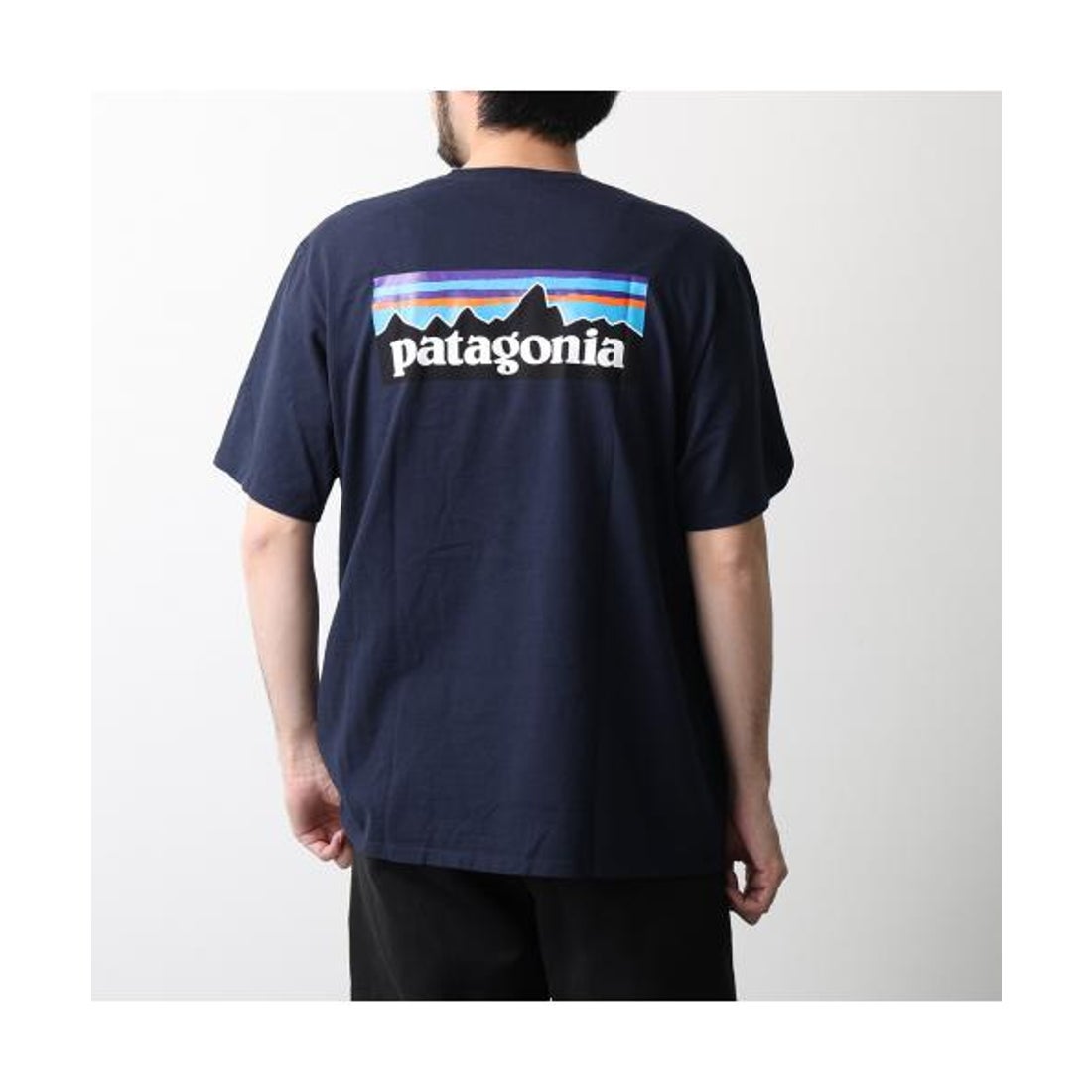 パタゴニア Patagonia patagonia 半袖 Tシャツ M'S P-6 LOGO