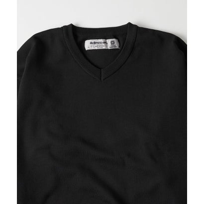 【WHO'S WHO gallery】【Sourcream】Vネックニット （gray）｜詳細画像