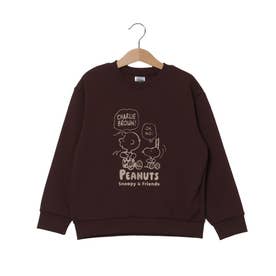 スウェットトレーナー ドライ裏毛スウェットクルーネック （BROWN）
