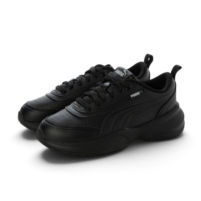 シリア 2 モード （Black-Puma Silver）