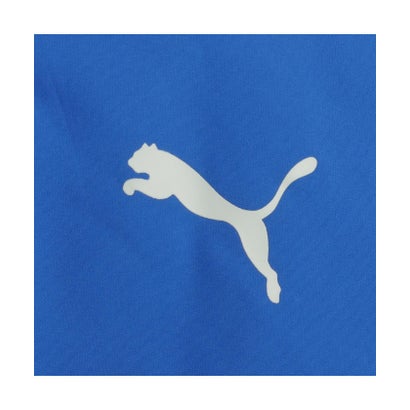 プーマ/キッズ/ACTIVE SPORTS トリコット ライニング ウーフ （PUMA TEAM ROYAL-MOODY GRAY）｜詳細画像