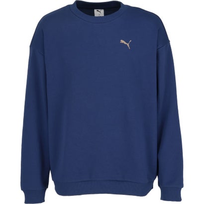 プーマ PUMA ESS ELEVATED MX グラフィッククルー メンズ トップス 長袖 トレーナー スウェット 吸水速乾 クルーネック リラックス （73 PERSIANBLUE）｜詳細画像