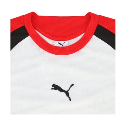 プーマ PUMA プーマ PUMA サッカー INDIVIFINAL LS シャツ  529604 （09 DESERTDUST-PUMABLACK）｜詳細画像