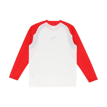 プーマ PUMA プーマ PUMA サッカー INDIVIFINAL LS シャツ  529604 （09 DESERTDUST-PUMABLACK）｜詳細画像