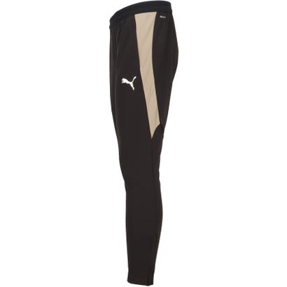 プーマ PUMA サッカー INDIVIFINAL TR PT 661220 （09 DESERTDUST-PUMAWHITE）｜詳細画像