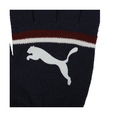 プーマ/キャットロゴ マジックグローブ （PUMA NAVY-RUBY SHIMMER）｜詳細画像