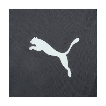 キッズ サッカー INDIVILIGA グラフィック 半袖 シャツ 120-160cm （PUMA Red-PUMA White-PUMA Black）｜詳細画像