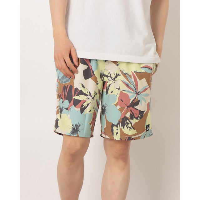 メンズ マリン ボードショーツ EVERYDAY PRINTED VOLLEY 19 EQYJV04223 【返品不可商品】 （WEG6）