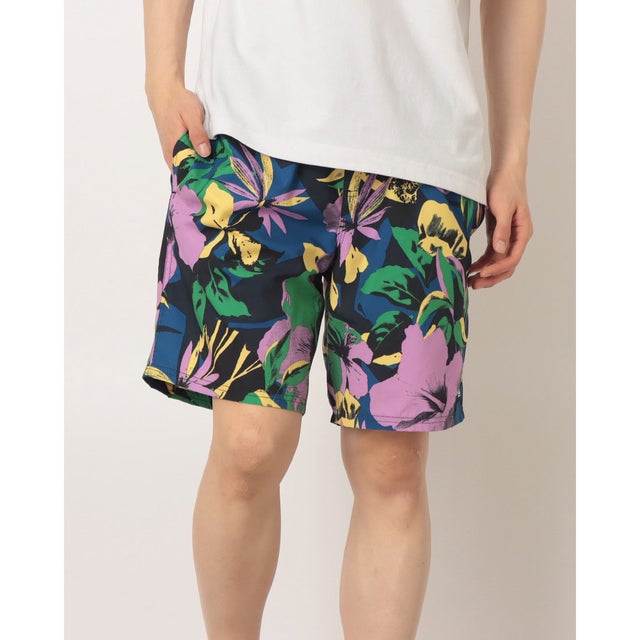 メンズ マリン ボードショーツ EVERYDAY PRINTED VOLLEY 19 EQYJV04223 【返品不可商品】 （KTP6）