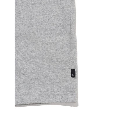 クイックシルバー/メンズ/24SS CLICKER LOGO DNA ST （HTR）｜詳細画像