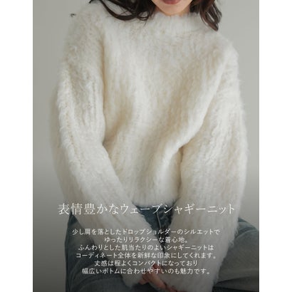 リエディ Re:EDIT [TREND ITEM COLLECTION]ウェーブブラッシュシャギーニットトップス （ベージュ）｜詳細画像
