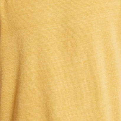 クラシックス ナチュラルダイ Tシャツ / Classics Natural Dye Tee（ブライトオークル）｜詳細画像