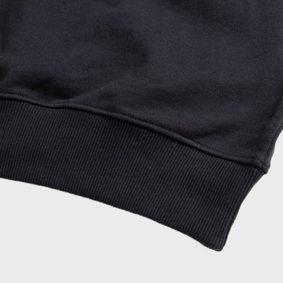 クラシックス スモール ベクター クルー スウェットシャツ / Classics Small Vector Crew Sweatshirt（ブラック）｜詳細画像