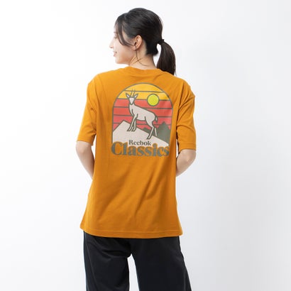 クラシックス キャンピング グラフィック Tシャツ / Classics Camping Graphic T-Shirt （ラディアントオークル）｜詳細画像