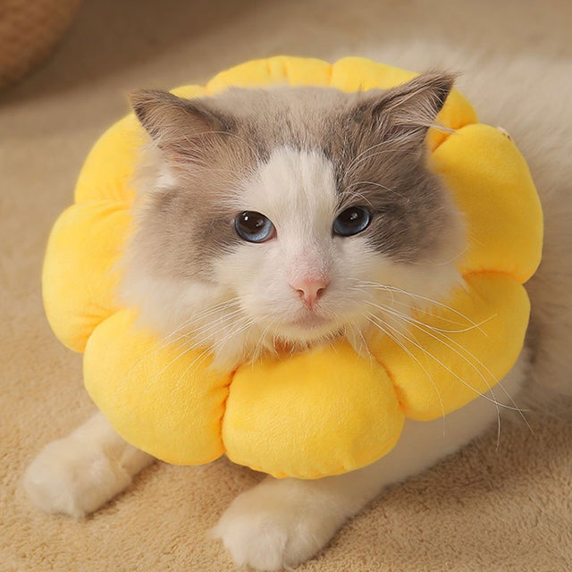エリザベスカラー 犬 猫 ソフト 中型犬 小型犬 猫用 ドーナツ エリカラ ペット用品 軽い クッション サイズ調整 去勢手術 傷 舐め 防止 （イエロー）