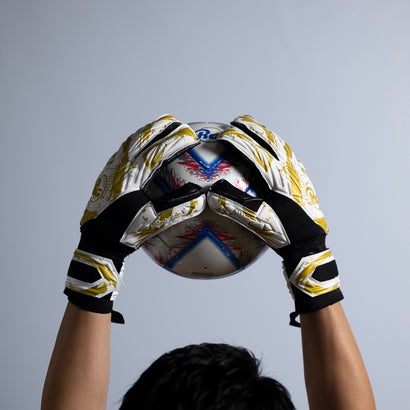 RG Samurai Fusion Japan Gold｜詳細画像