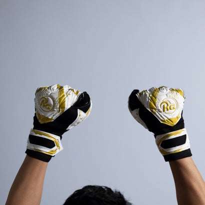 RG Samurai Fusion Japan Gold｜詳細画像