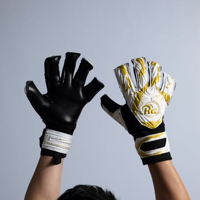 RG Samurai Fusion Japan Gold｜詳細画像