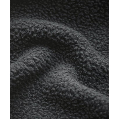 THE NORTH FACE フリース ハーフジップ メンズ レディース 長袖 プルオーバー ワンポイント ロゴ ボア スタンドカラー セミルーズ 16245 （Asphalt Grey/TNF Black）｜詳細画像