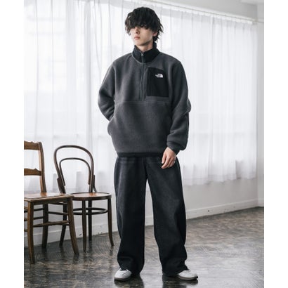 THE NORTH FACE フリース ハーフジップ メンズ レディース 長袖 プルオーバー ワンポイント ロゴ ボア スタンドカラー セミルーズ 16245 （Asphalt Grey/TNF Black）｜詳細画像