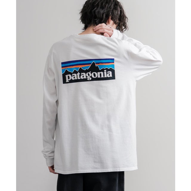 Patagonia パタゴニア バックプリントT 新色追加 長袖 メンズ レディース Tシャツ カットソー グラフィック P-6ロゴ リラックス クルーネック 16381 （ファイバー ホワイト）