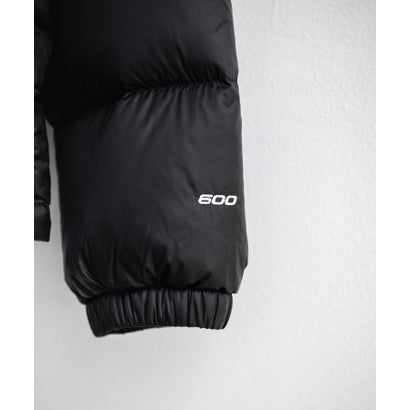 THE NORTH FACE ノースフェイス M HYDRNLTE DWN HOODIE ダウンジャケット フーディー メンズ レディース ブルゾン 16555 （CARAWAY SEED）｜詳細画像