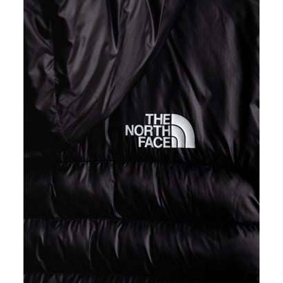 THE NORTH FACE TERRA PEAK HOODIE ナイロンジャケット 薄中綿 メンズ フーディ PERTEX QUANTUM ポケッタブル 超軽量 16624 （ブラック）｜詳細画像