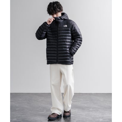 THE NORTH FACE TERRA PEAK HOODIE ナイロンジャケット 薄中綿 メンズ フーディ PERTEX QUANTUM ポケッタブル 超軽量 16624 （ブラック）｜詳細画像