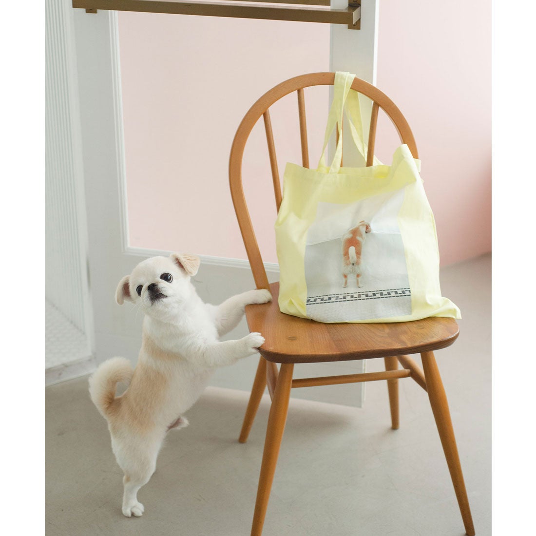 ロペピクニック パサージュ ROPE' PICNIC PASSAGE 【WEB限定】おもち