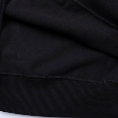 BALANCE EMBREM WRWB ZIP HD Hoodie Pullover （HGR）｜詳細画像