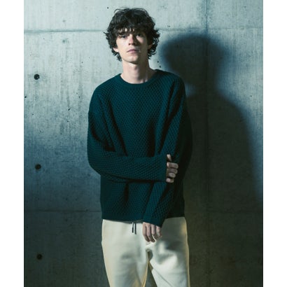 ジェイエイチ ジュンハシモト JH junhashimoto メッシュジャガードニット （green）｜詳細画像