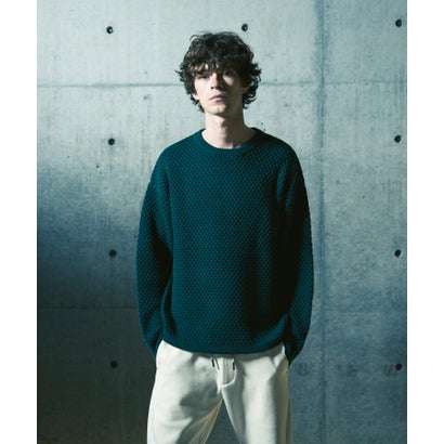 ジェイエイチ ジュンハシモト JH junhashimoto メッシュジャガードニット （green）｜詳細画像