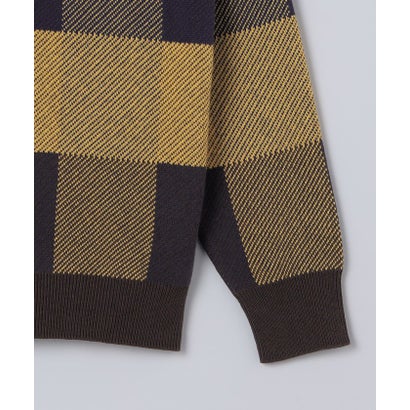 〈洗濯機可能〉チェック コットンカシミヤ クルーネック 26AW （グリーン）｜詳細画像