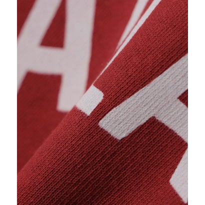 Atlantic Coastal Supplies: ATLANTIC ARCH HOODIE （ワインレッド）｜詳細画像
