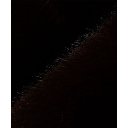 シップス SHIPS City Ambient Products: ファー MA－1 ボンバー ジャケット （ブラウン）｜詳細画像