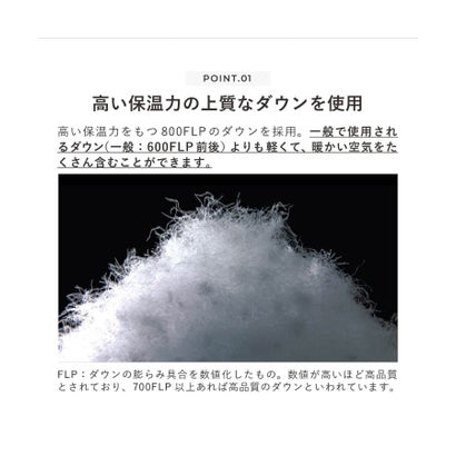 TAION タイオン インナーダウン ベスト ジレ アウター メンズ ベーシック Vネックボタン 防寒 003 冬新作｜詳細画像